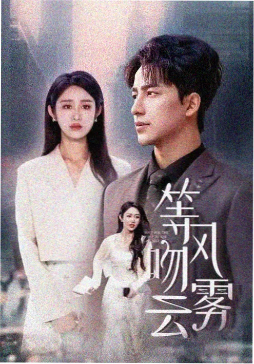 律政新剧无声证词海报